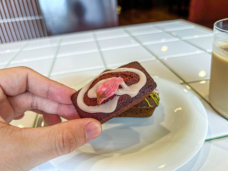 Cacco フィナンシェ